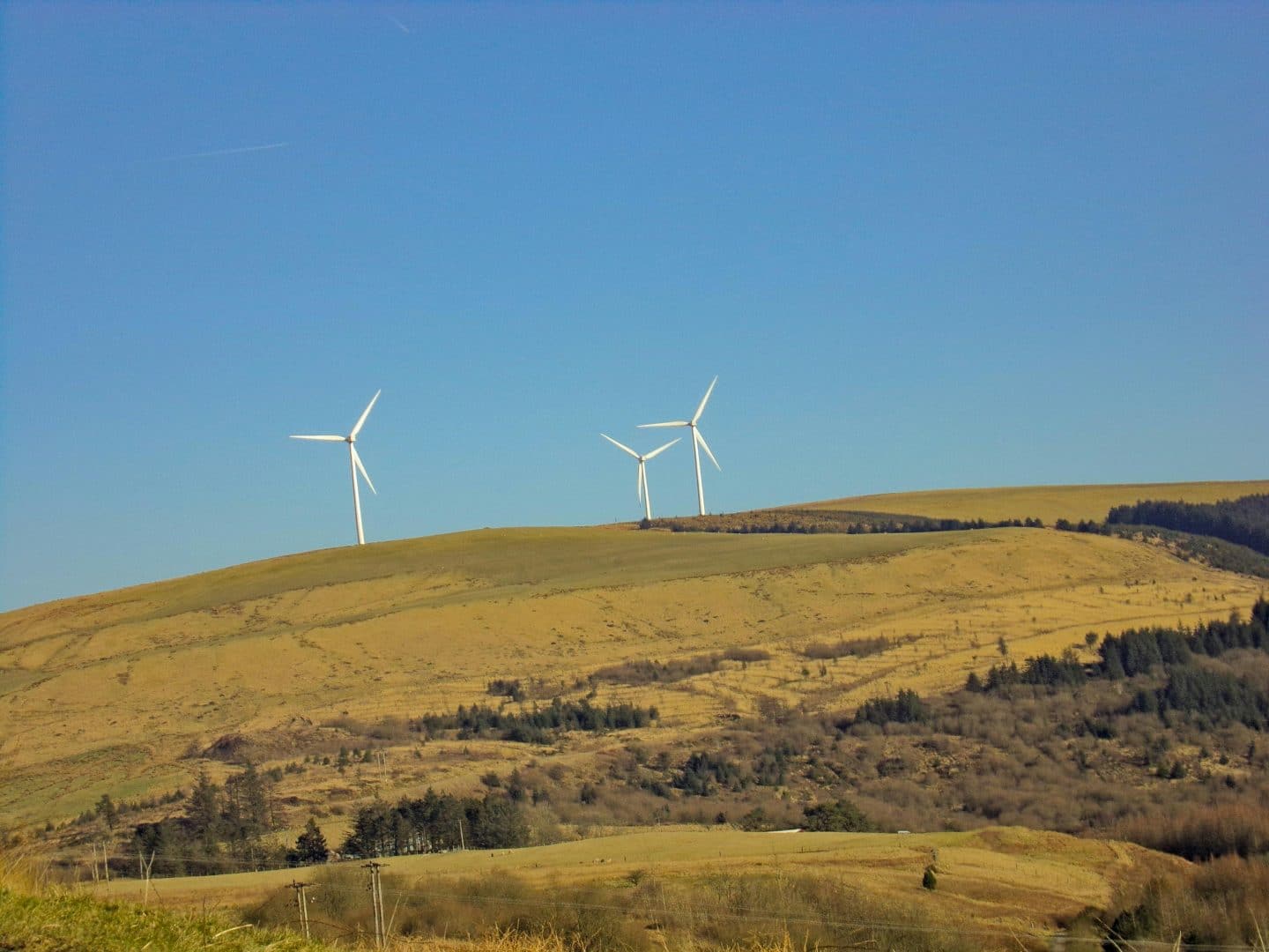 Environnement et biodiversité