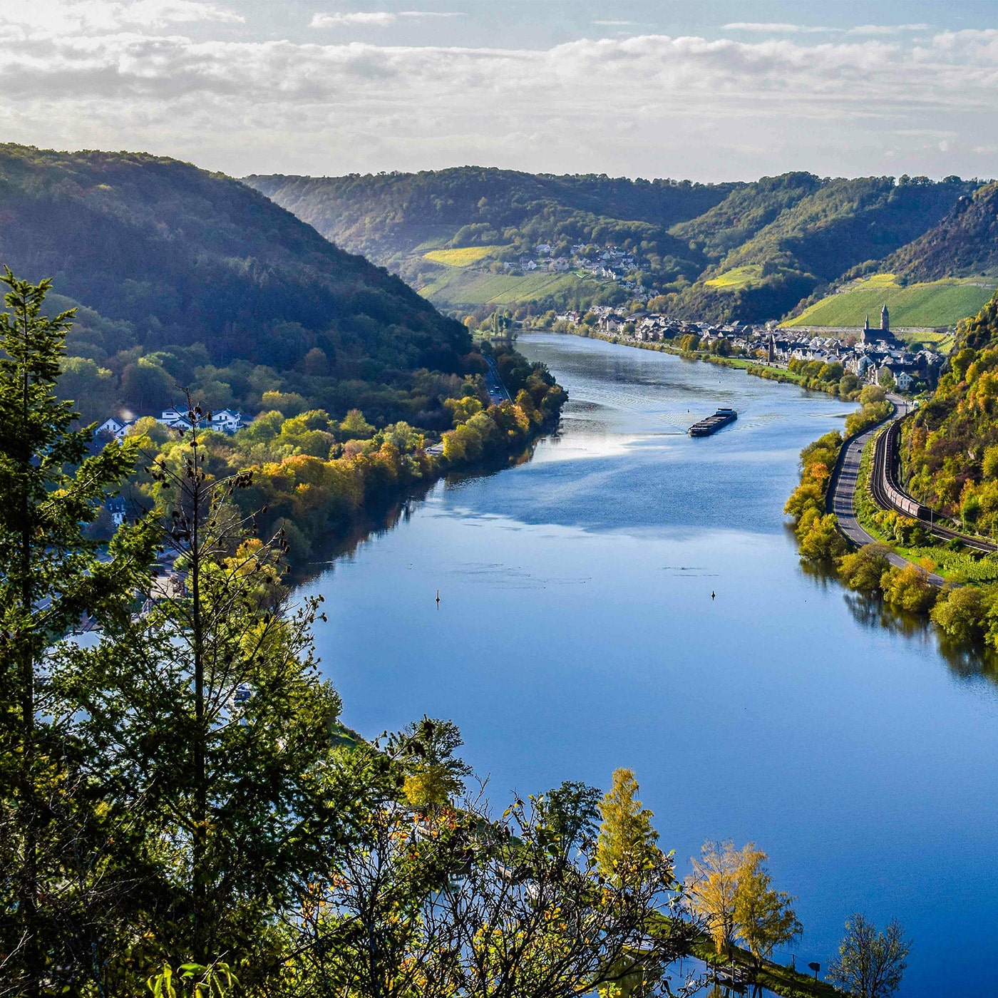 Environnement et biodiversité